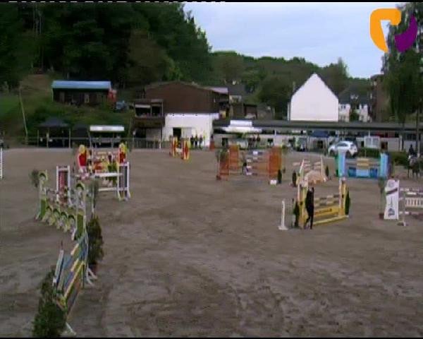Siegen 2012
Sonntag, den 23.09.2012
13 Springprüfung Kl. M**

