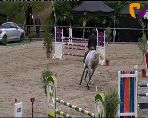 Siegen 2012
Sonntag, den 23.09.2012
14 Amateur Springprüfung Kl. S* mit Stechen
