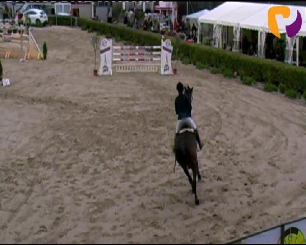 Siegen 2012
Sonntag, den 23.09.2012
14 Amateur Springprüfung Kl. S* mit Stechen
