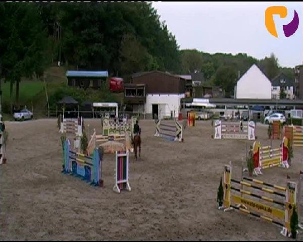 Siegen 2012
Freitag, den 21.09.2012
10 Springprüfung Kl. M* 