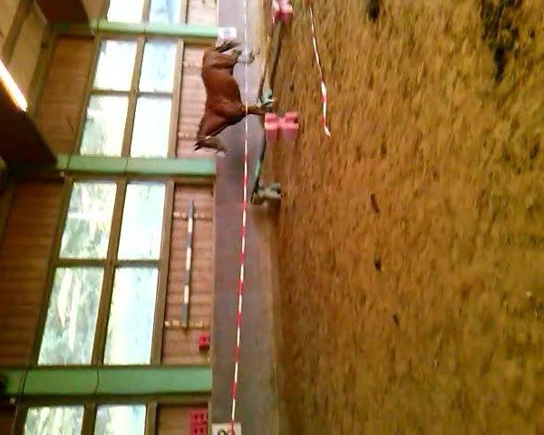 Video of Zakira 3