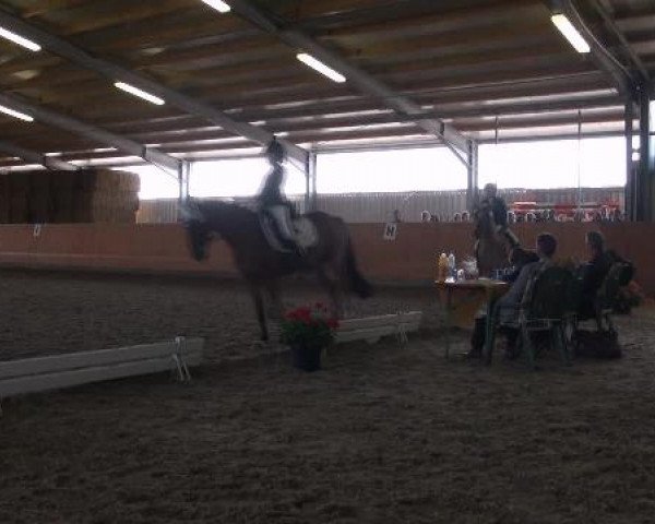 St. Georg Marl 16.09.2012
06 Dressurwettbewerb Kl E- 2. Wertung Pferde/Ponys
