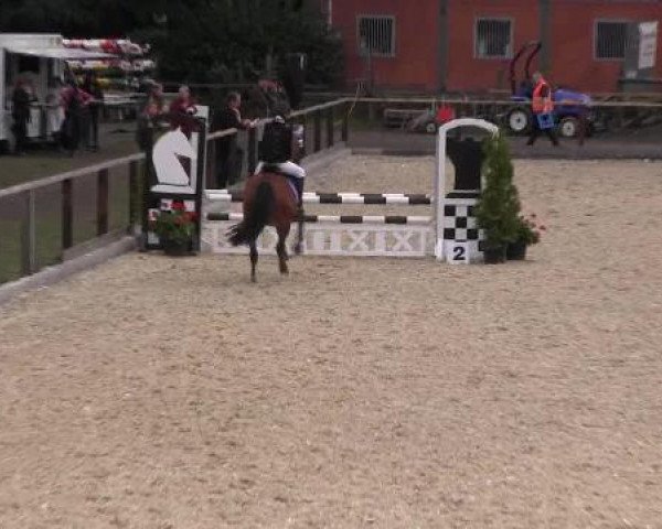 St. Georg Marl 15.09.2012
07 Springwettbewerb Kl E- 1. Wertung Pferde/Ponys
