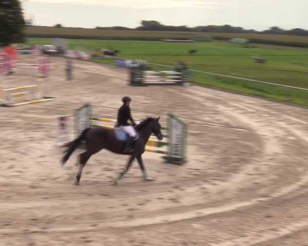 Springreitturnier Hohburg 2021