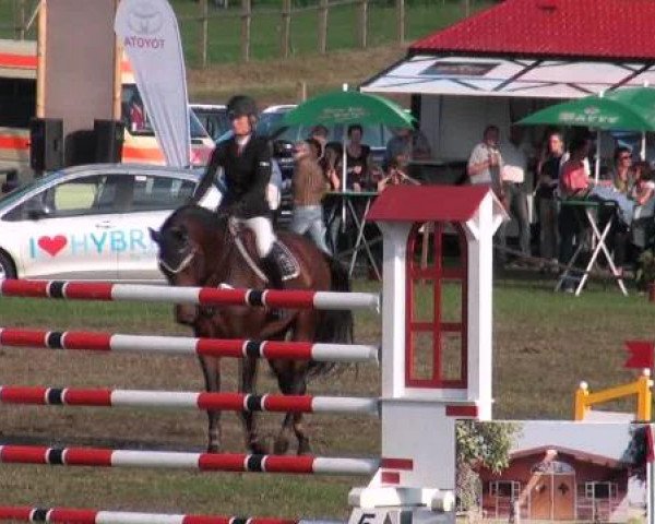Nienburg 2012
Samstag, den 25.08.2012
03. Barrierenspringprfg.Kl.S*
