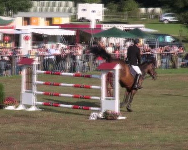 Nienburg 2012
Samstag, den 25.08.2012
03. Barrierenspringprfg.Kl.S*

