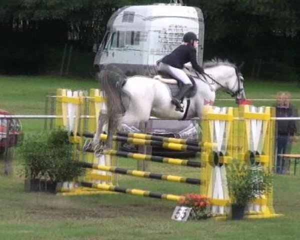 Nienburg 2012
Freitag, den 24.08.2012
10.2. Springprüfung Kl.L
