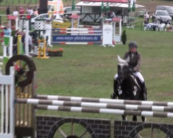 Nienburg 2012
Freitag, den 24.08.2012
10.2. Springprüfung Kl.L
