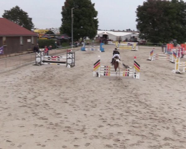 Springreitturnier Hohburg 2021
