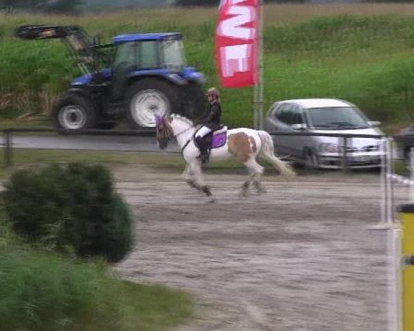 Reit- und Springturnier des LRFV Recklinghausen e.V. vom 23.-26.08.2012 26.08.2012
18 Stilspringprüfung Kl E