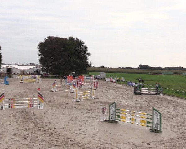 Springreitturnier Hohburg 2021
