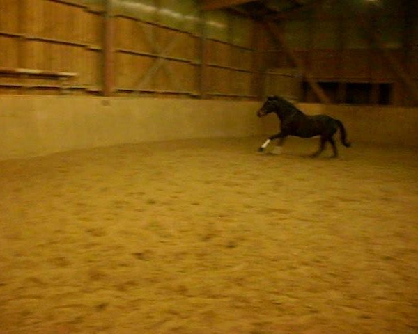 Video von Aprilstorm xx