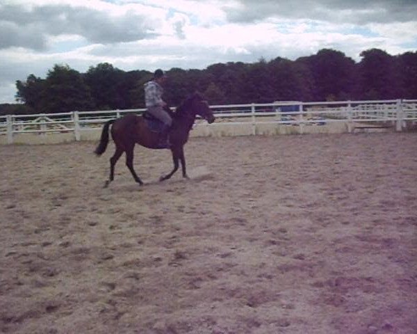 Video von Aprilstorm xx