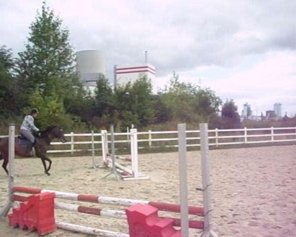 Video von Aprilstorm xx