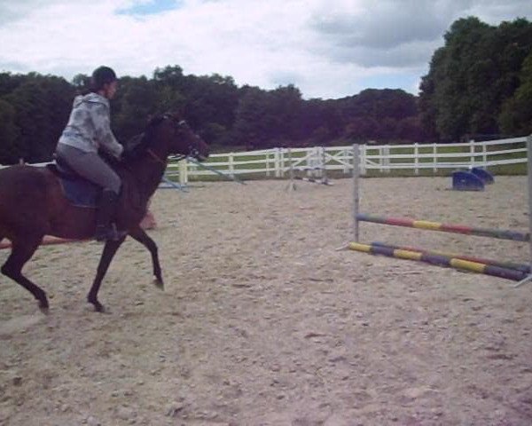 Video von Aprilstorm xx