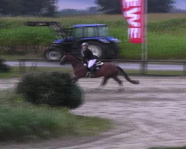 Reit- und Springturnier des LRFV Recklinghausen e.V. vom 23.-26.08.2012