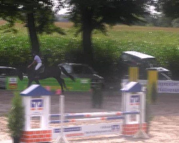 Reit- und Springturnier des LRFV Recklinghausen e.V. vom 23.-26.08.2012 23.08.2012
30 Springpferdeprüfung Kl A**