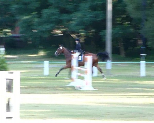 Video of Quadrigo 9