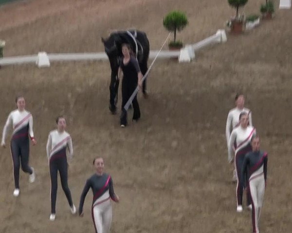 Video of Monte Carlo 46