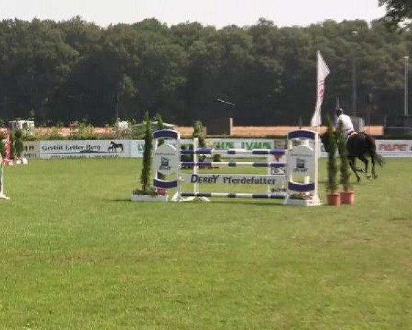Westfalen-Woche 2012 26.07.2012
27_2 Springpferdeprüfung Kl.M* - 5jährige