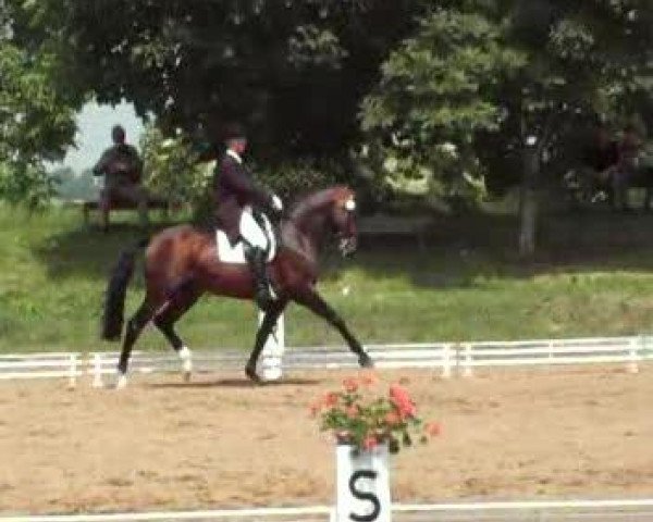 Video of Luxor v. Ganschow