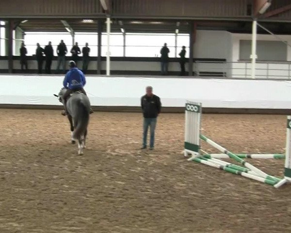 Video of Cinquecento