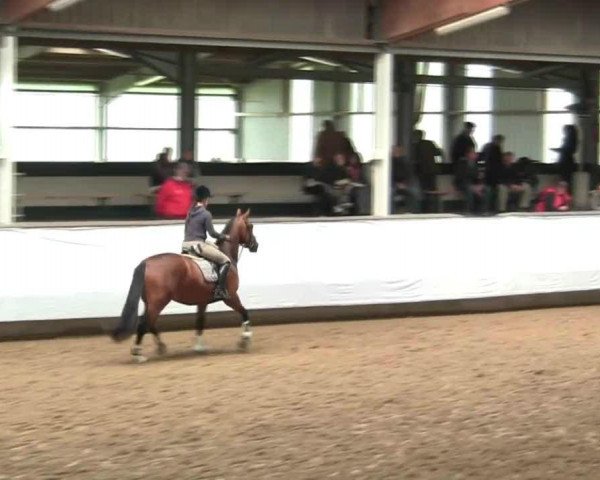 Video of Paula