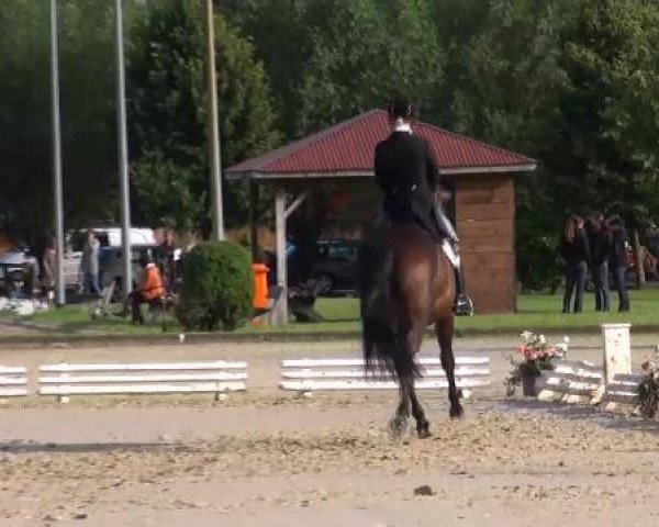 Reit- und Springturnier Münster-Roxel 08.07.2012
35_2 Dressurprüfung Kl.S*
