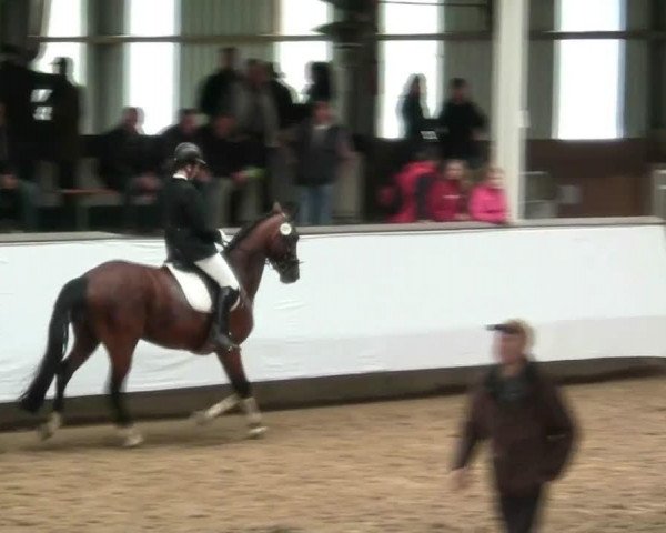 Video of Ehrengold