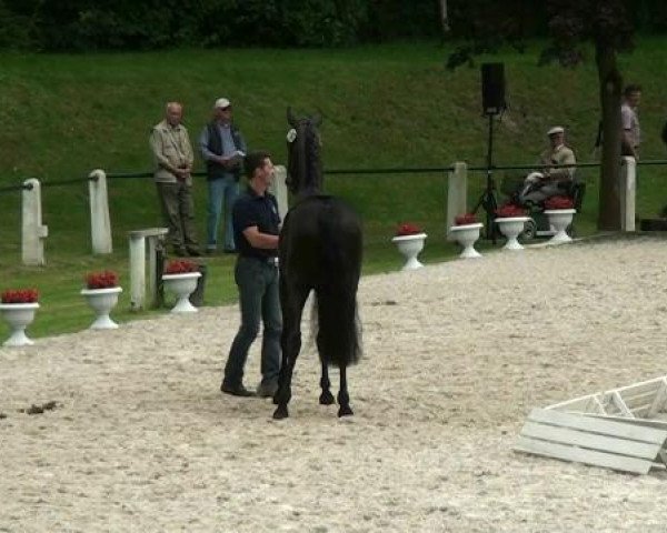 Fohlenschau Ludger Beerbaum Stables
Montag, den 2. Juli 2012
