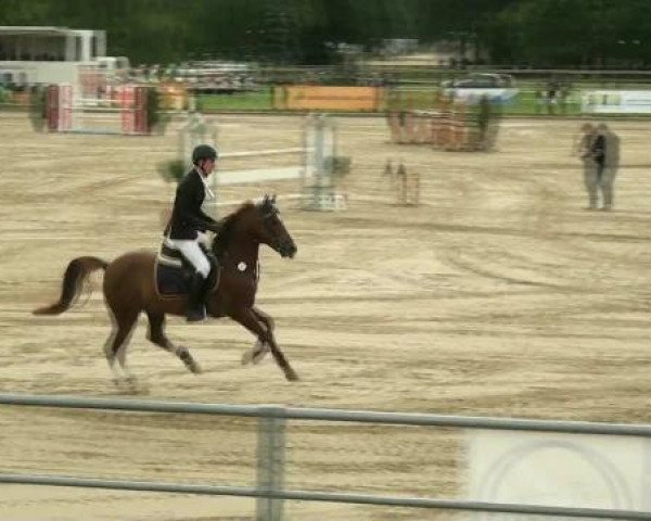 Rheinische Meisterschaften 2012
Sonntag, den 24.06.2012
06. Ponyspringprüfung Kl.M* - 3. Wertungsprüfung
