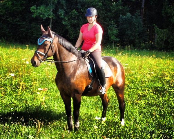 broodmare Wendie (Hanoverian, 1996, from Wanderer)
