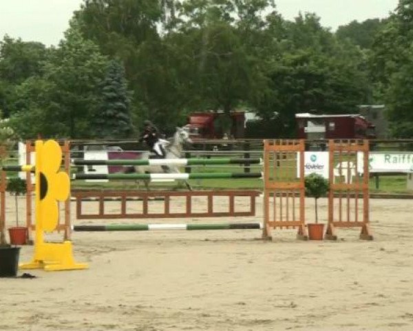 Rheinische Meisterschaften 2012
Sonntag, den 24.06.2012
59. Amateur-Springprf. Kl.S* m.Siegerrunde F
