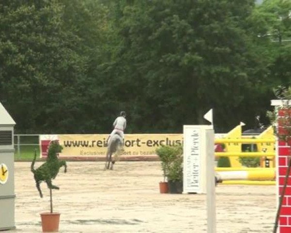 Rheinische Meisterschaften 2012
Sonntag, den 24.06.2012
59. Amateur-Springprf. Kl.S* m.Siegerrunde F
