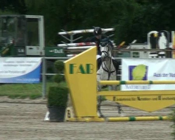 Rheinische Meisterschaften 2012
Samstag, den 23.06.2012
05. Ponyspringprüfung Kl.M* - 2. Wertungsprüfung
