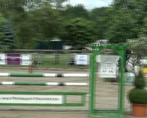 Rheinische Meisterschaften 2012
Freitag, den 22.06.2012
04. Ponyspringprüfung Kl.L - 1. Wertungsprüfung
