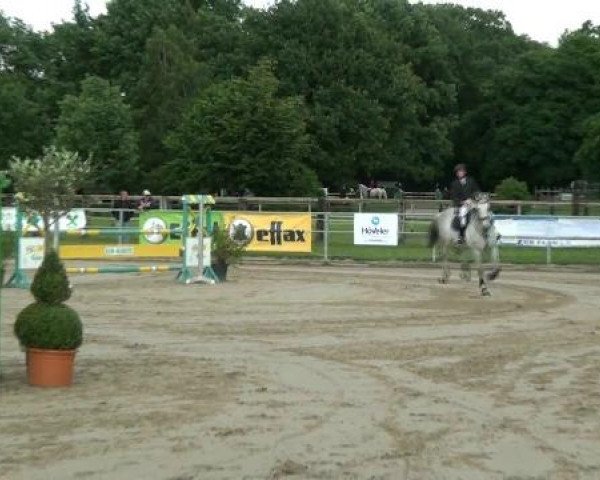 Rheinische Meisterschaften 2012
Freitag, den 22.06.2012
58. Amateur-Springprüfung Kl.M** Einlaufprüfung

