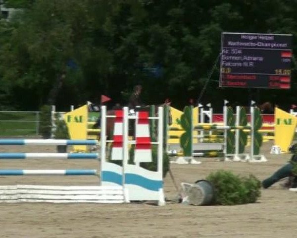 Rheinische Meisterschaften 2012
Freitag, den 22.06.2012
26. Stilspringprüfung Kl.L 1. Wertung im
