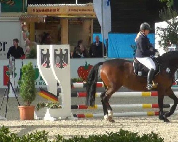 Weser Ems Meisterschaften Cloppenburg 22.06.2012
22 Stilspringprüfung Kl.A*
