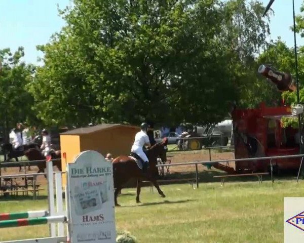 Pfingst-Reitturnier Kreuzkrug-Raddestorf 2012