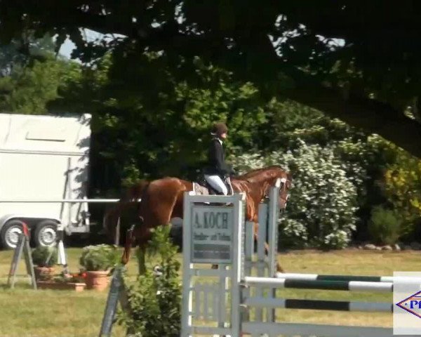 Pfingst-Reitturnier Kreuzkrug-Raddestorf 2012