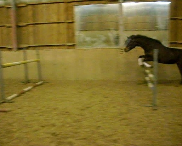 Video di Aprilstorm xx