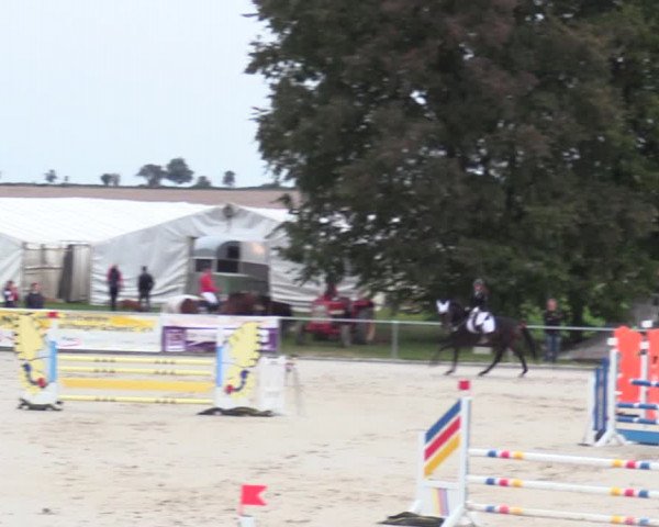 Springreitturnier Hohburg 2021