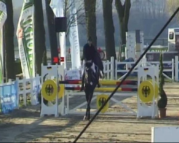 Werne-Lenklarer Reitertage vom 13.-15.+17.-22.04.2012 auf der Reitsportanlage Gripshöver 18.04.2012
19_1 Springprüfung Kl M* nur Herren
