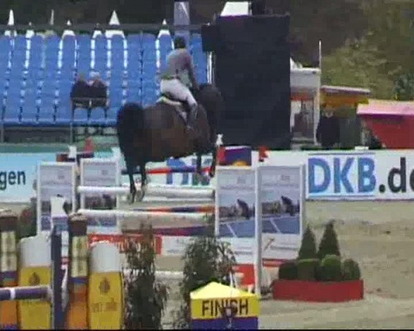 Video of Chico 784