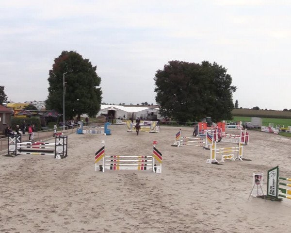 Springreitturnier Hohburg 2021