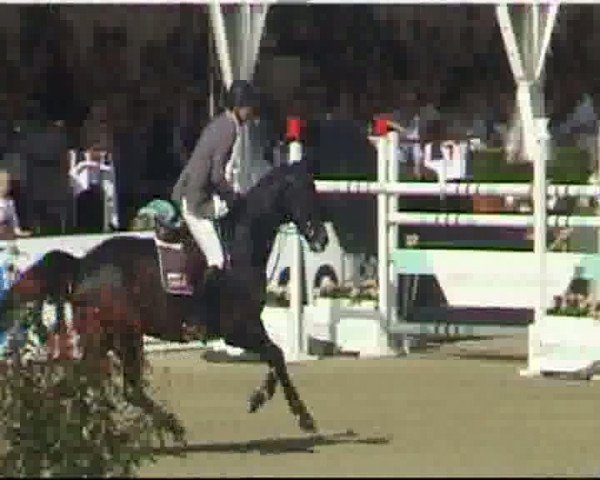 Video of Cornet's Cristallo