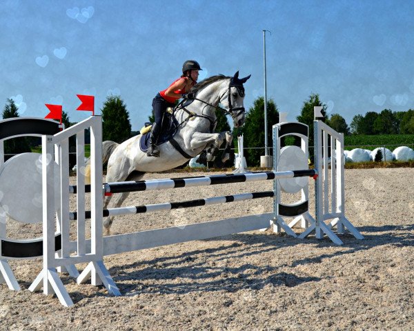 Springpferd La Belle (Westfale, 2002, von Lamerto H)
