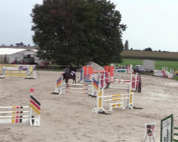 Springreitturnier Hohburg 2021