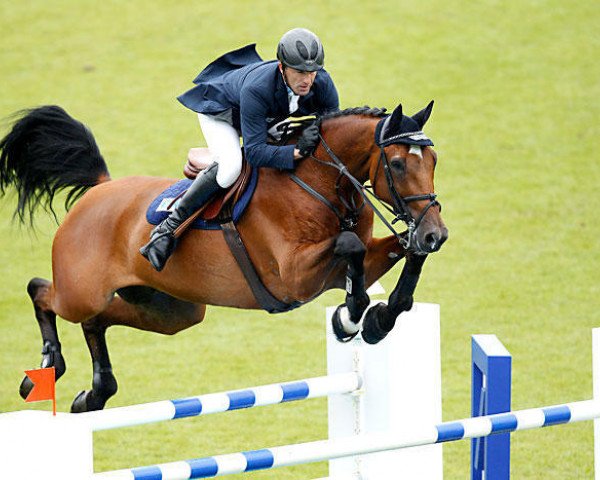 jumper Clausen (Holsteiner, 1996, from Calato)
